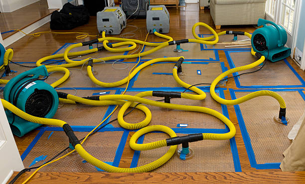 Professional Crawl Space Water Removal technician working in Sandy, UT